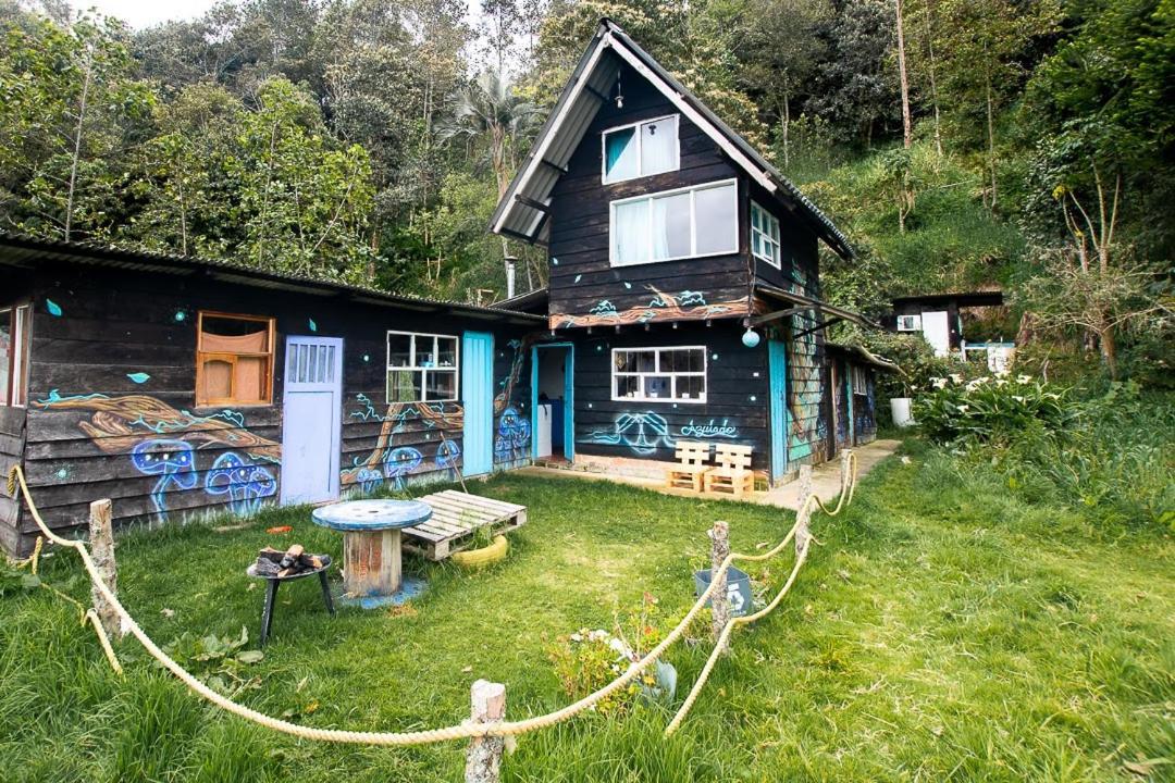 Azulado Vista A Laguna